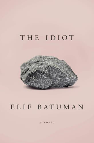 Cover of The Idiot